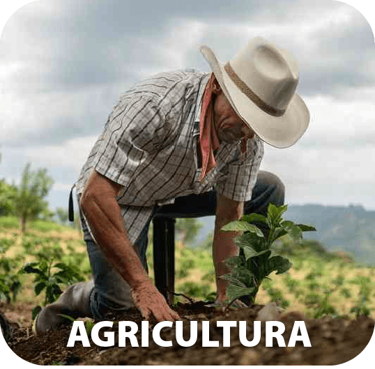 AGRICULTURA