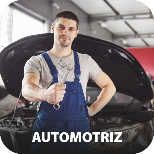 AUTOMOTRIZ